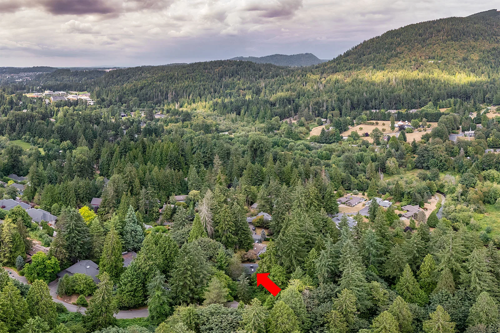 Full House Remodel in Issaquah by Linear Construction Services