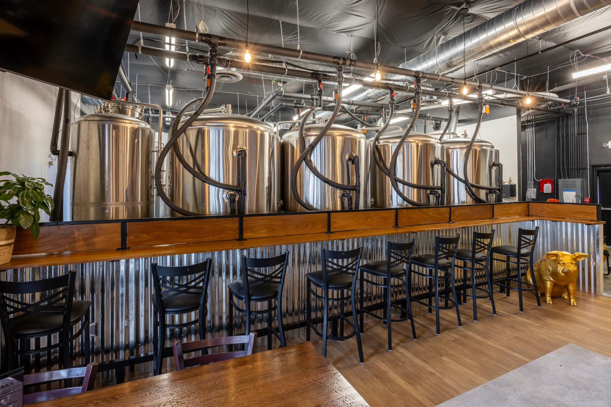 Blackwater Brewing Company